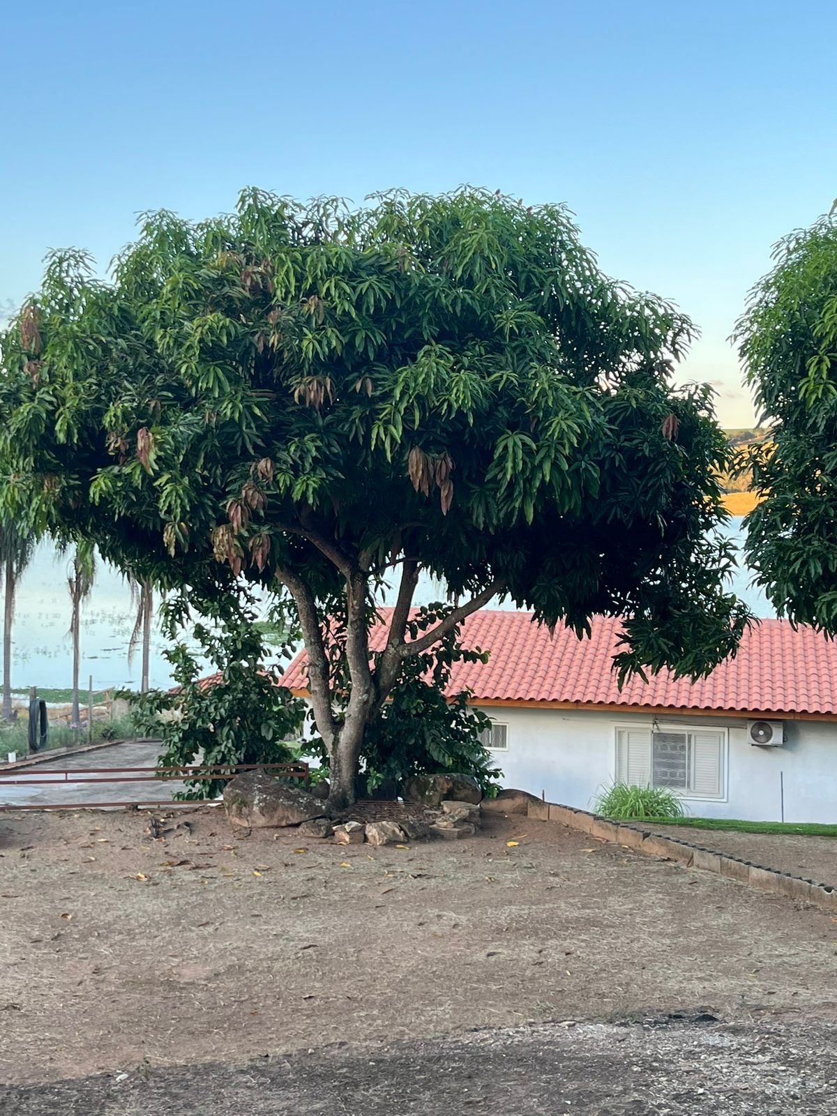 VENDE-SE RANCHO – RANCHO ACONCHEGO