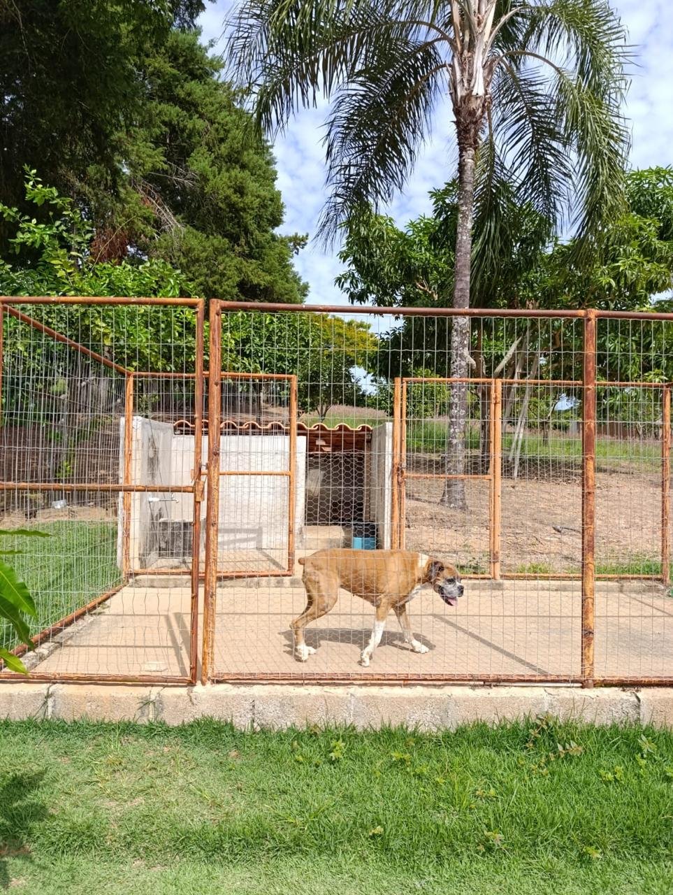 VENDE-SE RANCHO – RANCHO ACONCHEGO