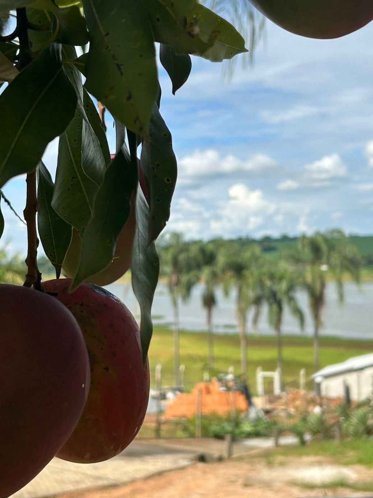 VENDE-SE RANCHO – RANCHO ACONCHEGO