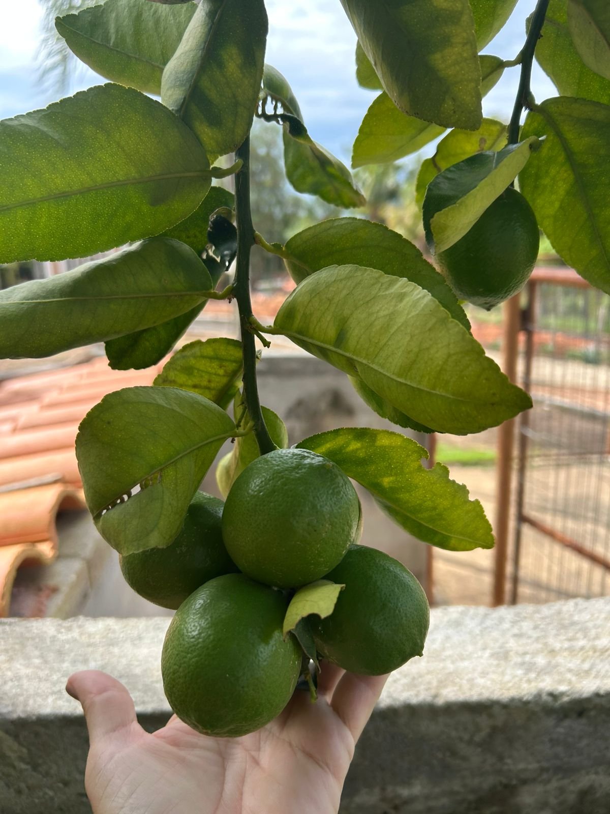 VENDE-SE RANCHO – RANCHO ACONCHEGO